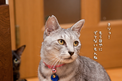 出来ることが増えてきた!_d0355333_15014381.jpg