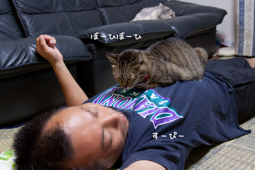 一番効く!★追記あり_d0355333_15014679.jpg