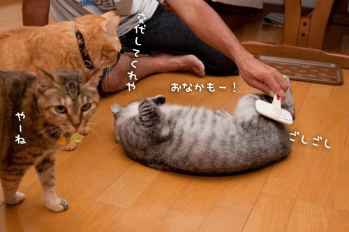 なっちゃんエステ。_d0355333_15014760.jpg