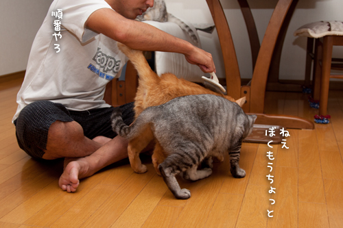 ちゃとらんも!_d0355333_15014849.jpg