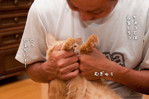 ぎゅっ!_d0355333_15014916.jpg