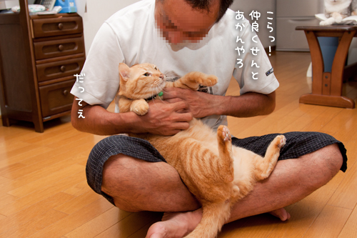ぎゅっ!_d0355333_15014935.jpg