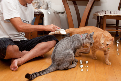 ちゃとらんも!_d0355333_15014972.jpg