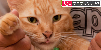 ぎゅっ!_d0355333_15015057.jpg