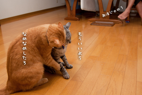 しつこいおやじ対策_d0355333_15015058.jpg