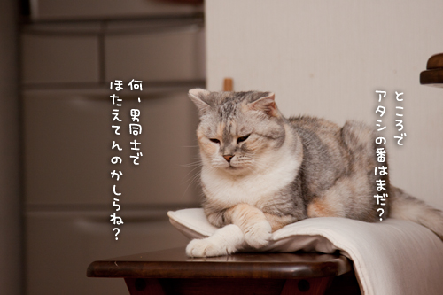 ぎゅっ!_d0355333_15015097.jpg