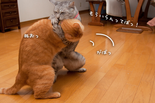 しつこいおやじ対策_d0355333_15015117.jpg