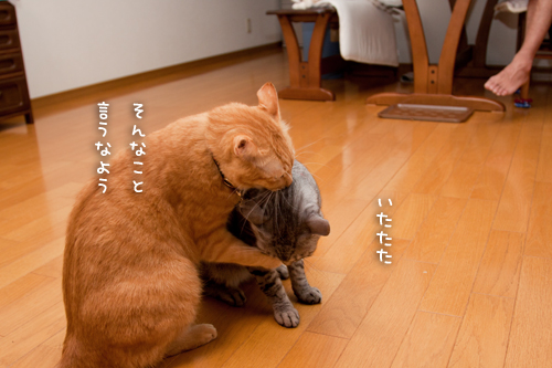 しつこいおやじ対策_d0355333_15015182.jpg