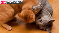 しつこいおやじ対策_d0355333_15015269.jpg