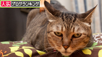 笑子たんと孫の手。_d0355333_15015321.jpg