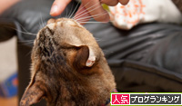 ララちゃんは遠慮がち。_d0355333_15015568.jpg