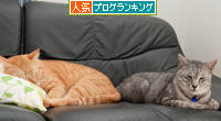 うたたね_d0355333_15020032.jpg
