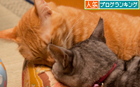 むぎゅう_d0355333_15020101.jpg