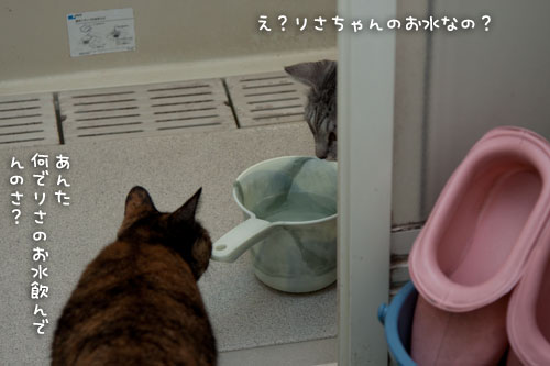 なっちゃん流お水の飲み方をゲットせよ_d0355333_15020490.jpg