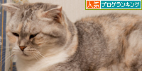 おばあちゃんになっても。_d0355333_15020703.jpg