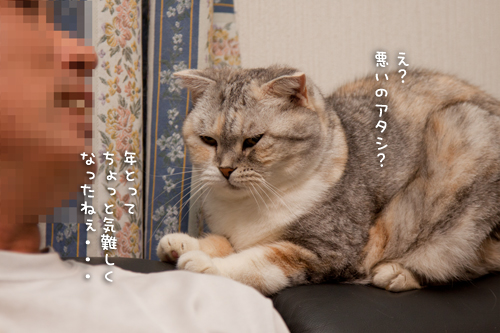 おばあちゃんになっても。_d0355333_15020718.jpg