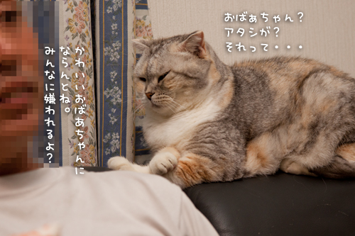 おばあちゃんになっても。_d0355333_15020787.jpg