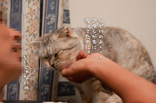 おばあちゃんになっても。_d0355333_15020798.jpg