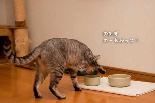 思い通りにはいかない_d0355333_15020903.jpg