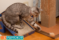 思い通りにはいかない_d0355333_15021077.jpg