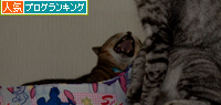 冷蔵庫の上の攻防!_d0355333_15021374.jpg