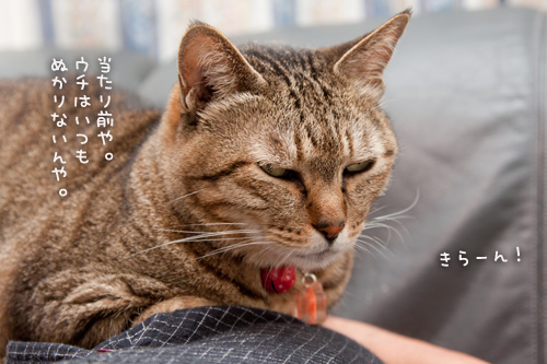 一等席は別にある。_d0355333_15021849.jpg