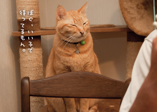 秋はさんま!_d0355333_15022007.jpg