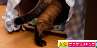 新しい、イイ場所になるか?_d0355333_15023557.jpg