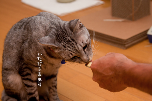 食いしん坊さん_d0355333_15023564.jpg