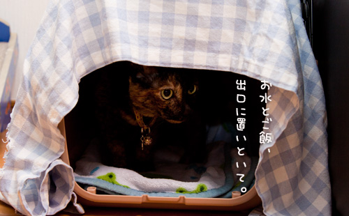 新しい、イイ場所になるか?_d0355333_15023585.jpg