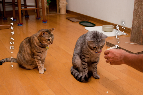 食いしん坊さん_d0355333_15023613.jpg