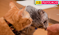 食いしん坊さん_d0355333_15023722.jpg