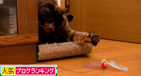 わくわく顔が撮りたくて。_d0355333_15024099.jpg