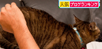 猫的親愛の情?_d0355333_15024249.jpg