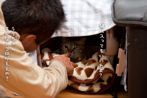 撤収のタイミング。_d0355333_15030152.jpg