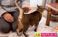 しりぺん要求_d0355333_15032281.jpg