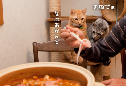 鍋奉行?_d0355333_15032285.jpg