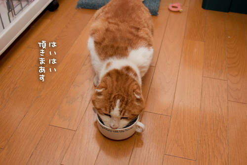 ご飯の威力_d0355333_15032570.jpg