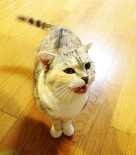 13歳の底力。_d0355333_15033138.jpg