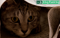 新聞遊びはたまんない!_d0355333_15033816.jpg