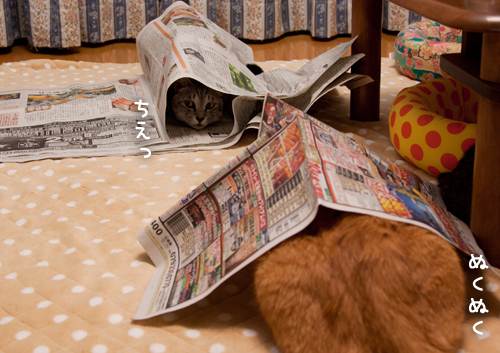 新聞遊びはたまんない!_d0355333_15033882.jpg