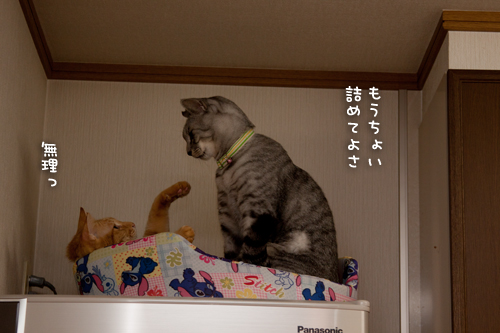 毎晩の光景。_d0355333_15033995.jpg