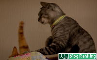 毎晩の光景。_d0355333_15034011.jpg