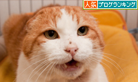夢をかなえる、21世紀の_d0355333_15034120.jpg