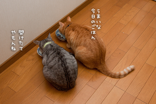 カレンダー収支報告_d0355333_15034160.jpg