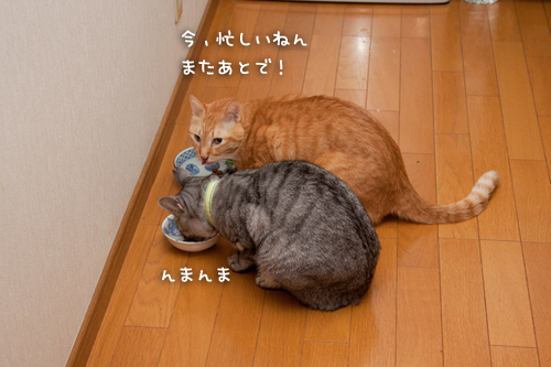カレンダー収支報告_d0355333_15034291.jpg