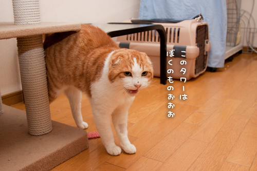 見つかってしまった・・・!_d0355333_15034380.jpg