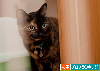 見つかってしまった・・・!_d0355333_15034410.jpg