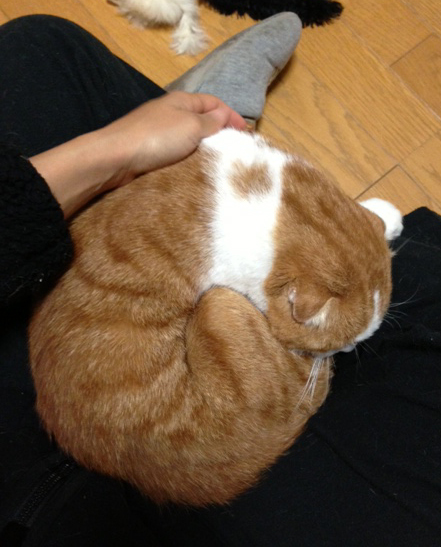 感動の・・・!_d0355333_15035011.jpg