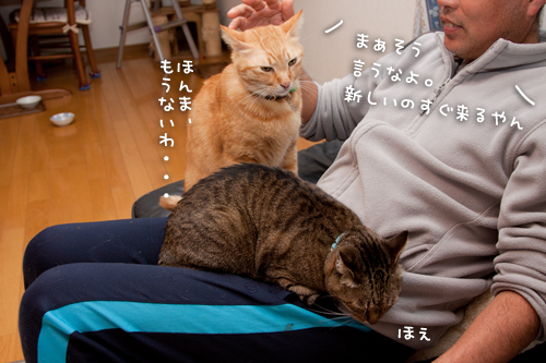 ちゃとらんの思考。_d0355333_15035247.jpg